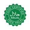 halal icon vector logo template